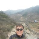 지리산산수유 이미지