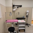 강아지미용실_편안 이미지