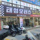 태성모터스 이미지