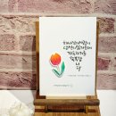 마음 품은 캘리그라피 이미지