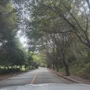 [서울 근교 골프장] 베스트밸리GC 야간라운딩 후기 – 18홀 코스·시설 총정리