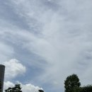 에이룸 | [강남역 미용실] 뮤에이룸헤어 위치 내돈내산 커트 솔직후기