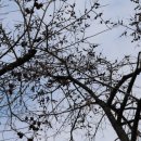 감나무한의원 이미지