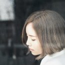 프롬제이제이 이미지