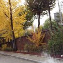 하계역(7호선) 이미지