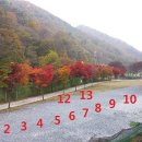 벌곡 산속 캠핑장 이미지