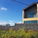 대정 골드빌라스 풀빌라 대가족숙소 이미지