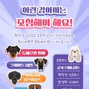 하나 동물병원 이미지