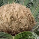 (주)한림 이미지