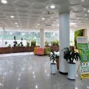 삼호도서관 이미지