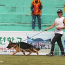 Gumiland 이미지