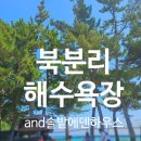 솔밭에덴하우스 이미지
