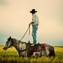 카우보이 이미지