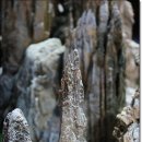 오백년이야기 이미지