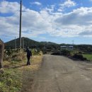 사프리카 더 캠프 이미지