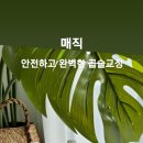 마잘