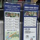 코끼리가든 | 서울대공원 주말 후기 | 주차 리프트 웨이팅 동물원 테마가든 총정리