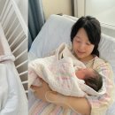 한지혜 카카오 검색결과