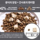 원벨리캣 네이버블로그