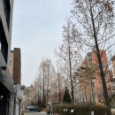 대흥주단 | 대흥 카페 :: 경의선 숲길 특별한 메뉴가 있는 논커피 라운지[소보로스코프] 내돈내산후기