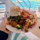 팀 크루즈 | 호주 브리즈번 모튼 아일랜드 탕갈루마 난파선 스노클링, 럭셔리 크루즈 런치 후기! See Moreton