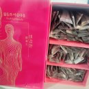 상록한의원 | 비감환 단순한 다이어트 보조제가 아니다? 건강한 체중 관리를 위한 비결 대공개!