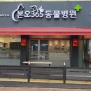본오365동물병원 이미지