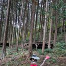 상관 공기마을 편백숲 | 둘레길 걷기 [2] 상관 공기마을 편백나무숲