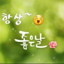 방글이마트