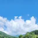 해인사 소리길 이미지