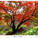 수산리-11 이미지