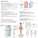 인성체육사 | [생체2급 보디빌딩 필기 및 실기 준비] 일주일 독학 합격 후기 / 실기준비 꿀팁