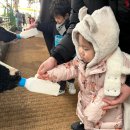 시우목장 이미지