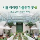 시흥 산골수목원카페 후기｜시흥 아이랑 가볼만한 곳 자연체험까지🌿