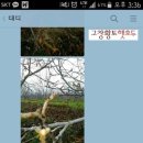 이화농장3 이미지