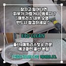 보쉬카서비스온양점 | 울산 매트리스청소 집먼지진드기와 피부 가려움 관리 후기