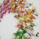 명주농장 이미지