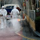 강남-224 이미지