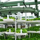 광형농장 이미지