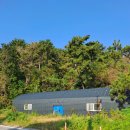 대동농협 대중지점 이미지