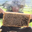 광천농장 이미지