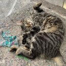 김효정공인중개사사무소 이미지