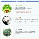 사우초등학교 | <금융교육> 사우초등학교 장정륜 강사 출강후기