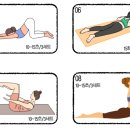 바디멘토짐 이미지