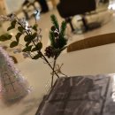 도연2호 이미지