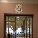 냥이 싸롱 이미지