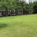 국보약국 | 국보싸이언스 무무스가드플러스 모기기피제