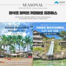 보라카이 여행 준비 2: 보라카이 투어 종류, 보라카이 투어 고르기, 보라카이 투어 고르는 팁