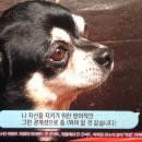 초리농장 이미지