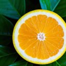 화인가정의학과의원 이미지